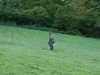 jemma-various-018